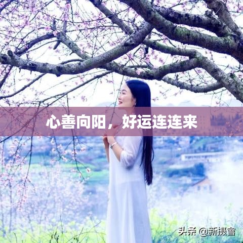 心善向陽,好運連連來