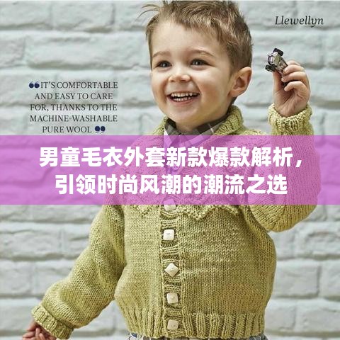 男童毛衣外套新款爆款解析,引領時尚風潮的潮流之選