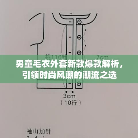 男童毛衣外套新款爆款解析,引領(lǐng)時尚風(fēng)潮的潮流之選