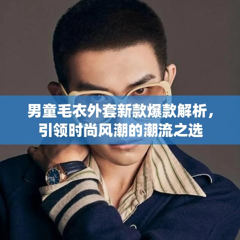 男童毛衣外套新款爆款解析,引領(lǐng)時尚風(fēng)潮的潮流之選