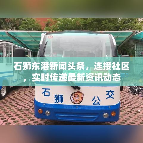 石獅東港新聞頭條,連接社區(qū),實時傳遞最新資訊動態(tài)