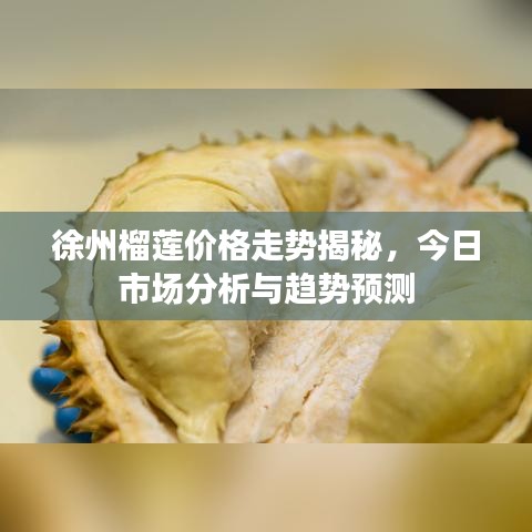 徐州榴蓮價格走勢揭秘,今日市場分析與趨勢預測