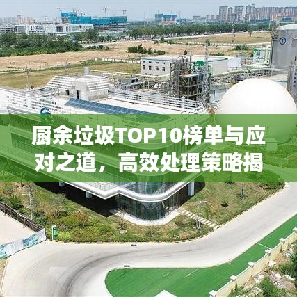 廚余垃圾TOP10榜單與應對之道,高效處理策略揭秘