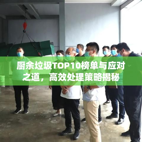 廚余垃圾TOP10榜單與應對之道,高效處理策略揭秘