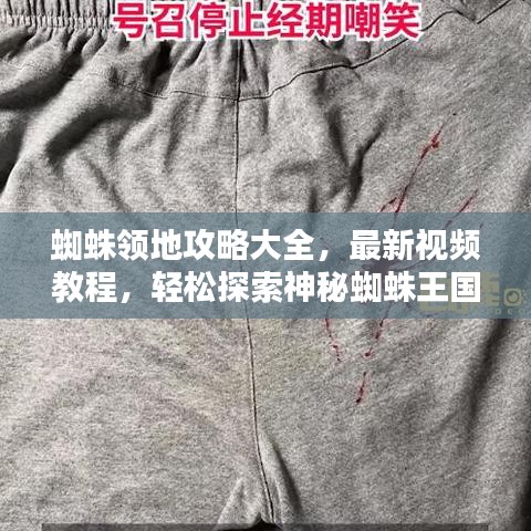 蜘蛛領(lǐng)地攻略大全,最新視頻教程,輕松探索神秘蜘蛛王國!
