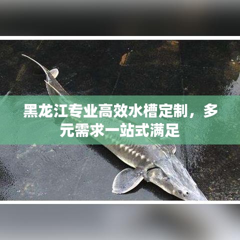 黑龍江專業高效水槽定制,多元需求一站式滿足