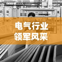 電氣行業(yè)領(lǐng)軍風(fēng)采揭秘,前十名電氣公司排名榜單!