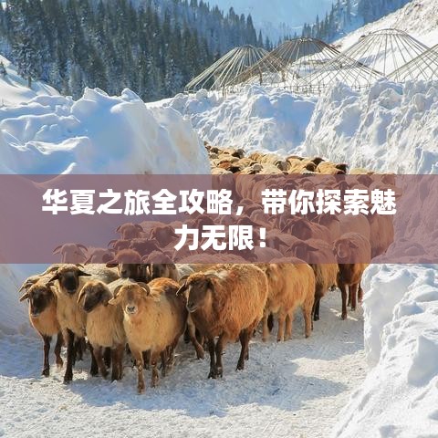 華夏之旅全攻略,帶你探索魅力無限!