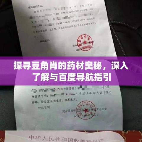 探尋豆角肖的藥材奧秘,深入了解與百度導航指引