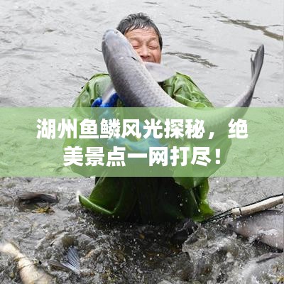湖州魚鱗風光探秘,絕美景點一網打盡!