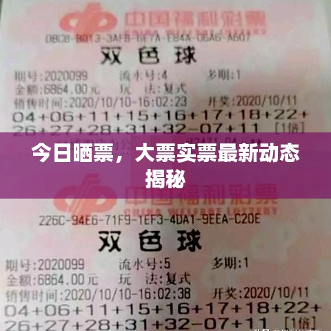 不求甚解 第2頁(yè)