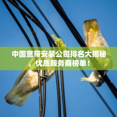 中國寬帶安裝公司排名大揭秘,優質服務商榜單!