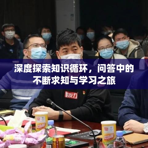 深度探索知識循環,問答中的不斷求知與學習之旅
