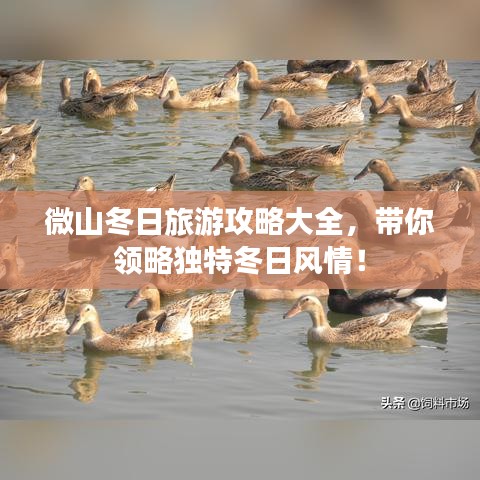微山冬日旅游攻略大全，帶你領略獨特冬日風情！