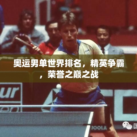 奧運男單世界排名,精英爭霸,榮譽之巔之戰