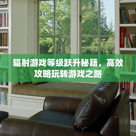 輻射游戲等級躍升秘籍,高效攻略玩轉游戲之路