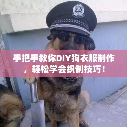 手把手教你DIY狗衣服制作,輕松學(xué)會織制技巧!