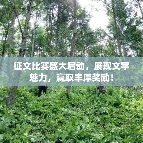 征文比賽盛大啟動,展現(xiàn)文字魅力,贏取豐厚獎勵!