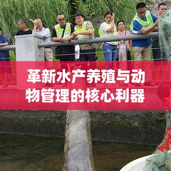 革新水產養(yǎng)殖與動物管理的核心利器,新型高效智能地籠