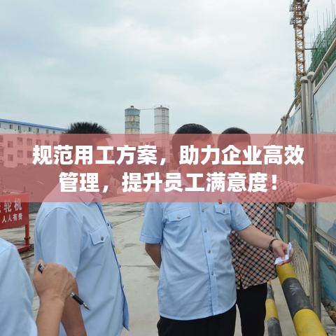 規范用工方案,助力企業高效管理,提升員工滿意度!