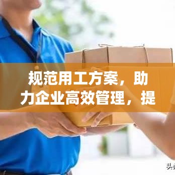 規范用工方案,助力企業高效管理,提升員工滿意度!