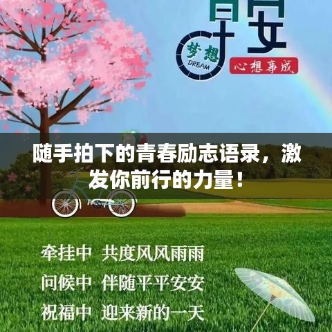 隨手拍下的青春勵志語錄,激發你前行的力量!