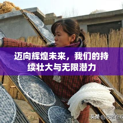 邁向輝煌未來,我們的持續(xù)壯大與無限潛力