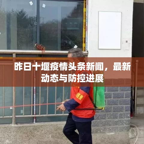 昨日十堰疫情頭條新聞,最新動態(tài)與防控進展