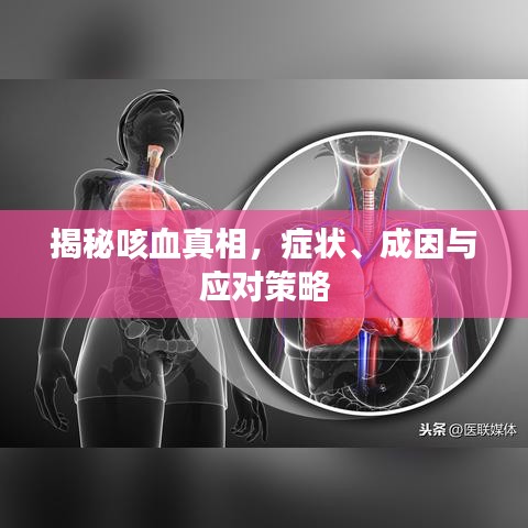 揭秘咳血真相,癥狀、成因與應(yīng)對策略