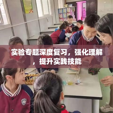 實驗專題深度復(fù)習(xí),強(qiáng)化理解,提升實踐技能