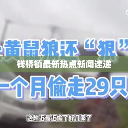 錢橋鎮最新熱點新聞速遞
