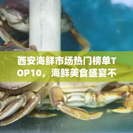 西安海鮮市場(chǎng)熱門榜單TOP10,海鮮美食盛宴不容錯(cuò)過!
