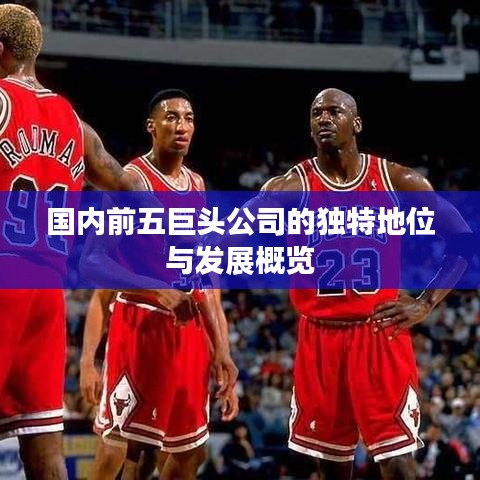 國內前五巨頭公司的獨特地位與發展概覽