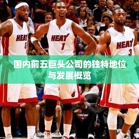 國內前五巨頭公司的獨特地位與發展概覽