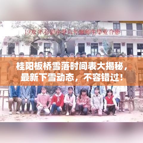 桂陽板橋雪落時間表大揭秘,最新下雪動態(tài),不容錯過!