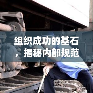 組織成功的基石,揭秘內部規(guī)范定義的力量與重要性