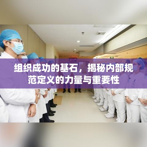 組織成功的基石,揭秘內部規(guī)范定義的力量與重要性