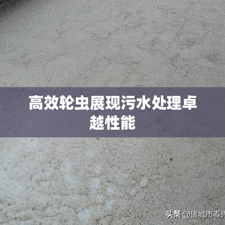 高效輪蟲(chóng)展現(xiàn)污水處理卓越性能