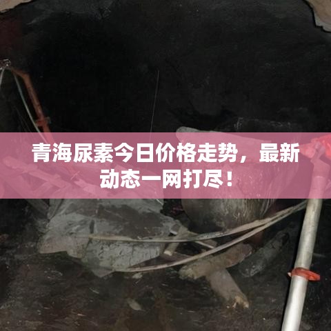 青海尿素今日價格走勢，最新動態(tài)一網(wǎng)打盡！