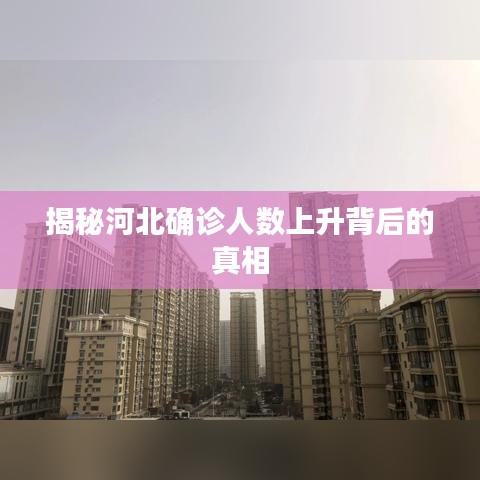揭秘河北確診人數(shù)上升背后的真相