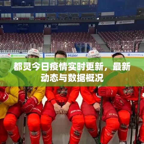 都靈今日疫情實時更新,最新動態(tài)與數(shù)據(jù)概況