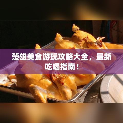 楚雄美食游玩攻略大全,最新吃喝指南!