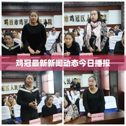 雞冠最新新聞動態今日播報