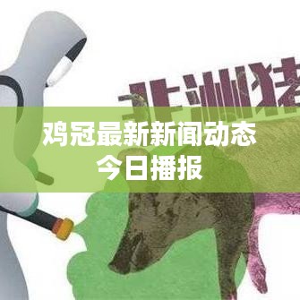 雞冠最新新聞動態今日播報