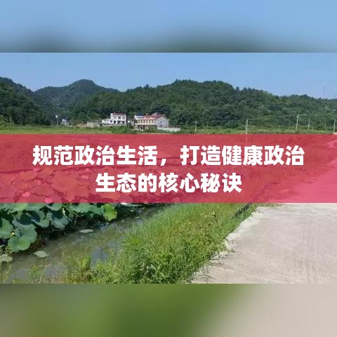 規范政治生活,打造健康政治生態的核心秘訣
