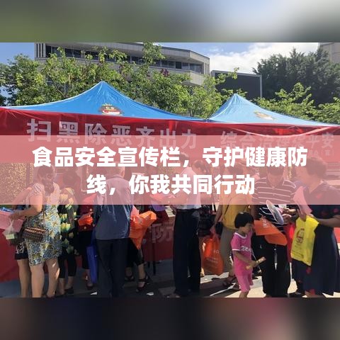 食品安全宣傳欄,守護健康防線,你我共同行動