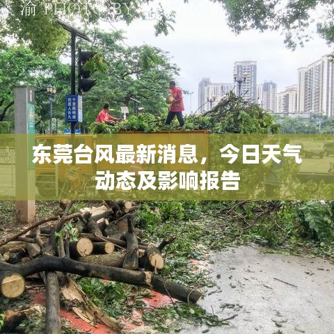 東莞臺風(fēng)最新消息,今日天氣動態(tài)及影響報告