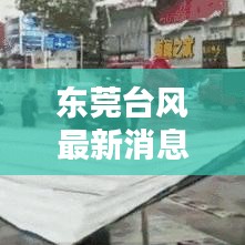 東莞臺風(fēng)最新消息,今日天氣動態(tài)及影響報告