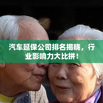 汽車延保公司排名揭曉,行業(yè)影響力大比拼!
