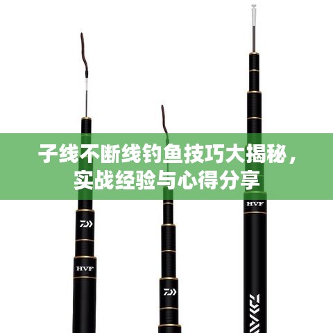 子線不斷線釣魚技巧大揭秘,實戰(zhàn)經(jīng)驗與心得分享